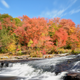 Illustration for article titled Fall Photos 1